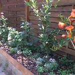 La Porta Nel Giardino * 아스티