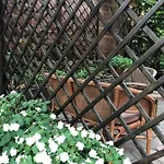 La Porta Nel Giardino *