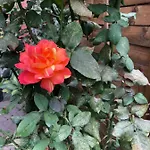 La Porta Nel Giardino