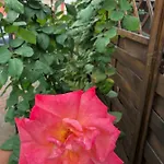 아파트 La Porta Nel Giardino 아스티