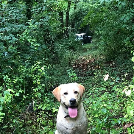 La Porta Nel Giardino 阿斯蒂