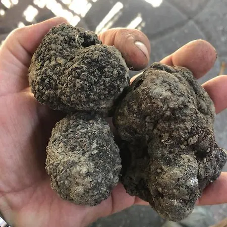 La Porta Nel Giardino 公寓 *