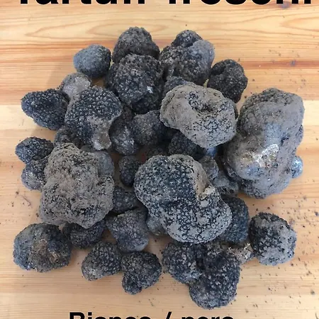 La Porta Nel Giardino 公寓 *