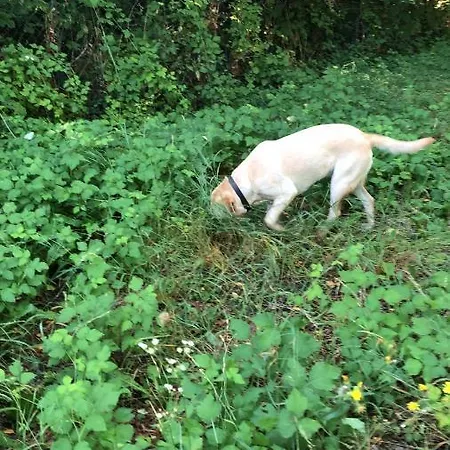 La Porta Nel Giardino 公寓 阿斯蒂