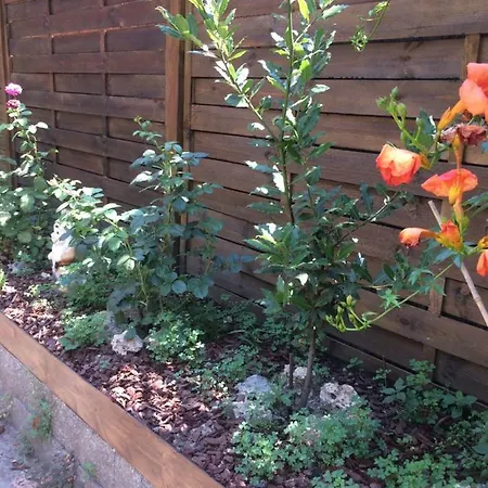 La Porta Nel Giardino * Asti