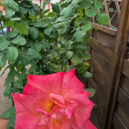 Apartman La Porta Nel Giardino Asti