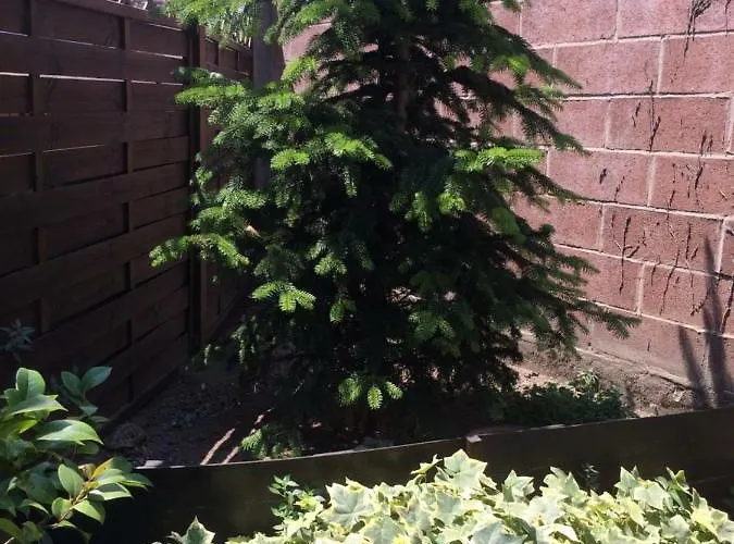 La Porta Nel Giardino Appartement *