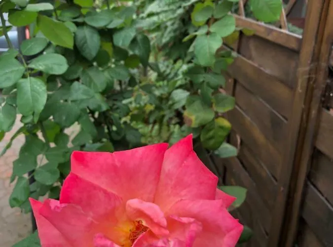 Appartement La Porta Nel Giardino Asti